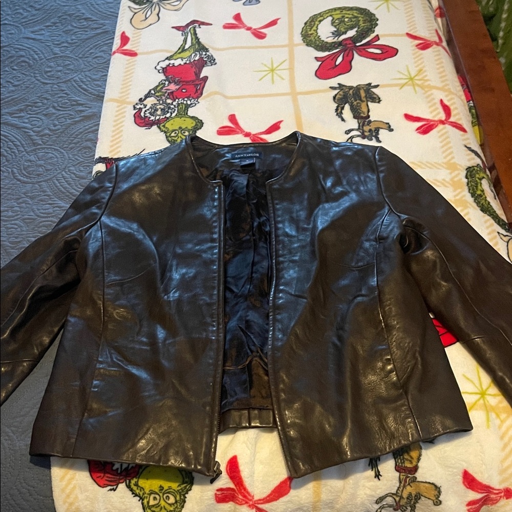 Ann Taylor Dark Brown Leather Jacket